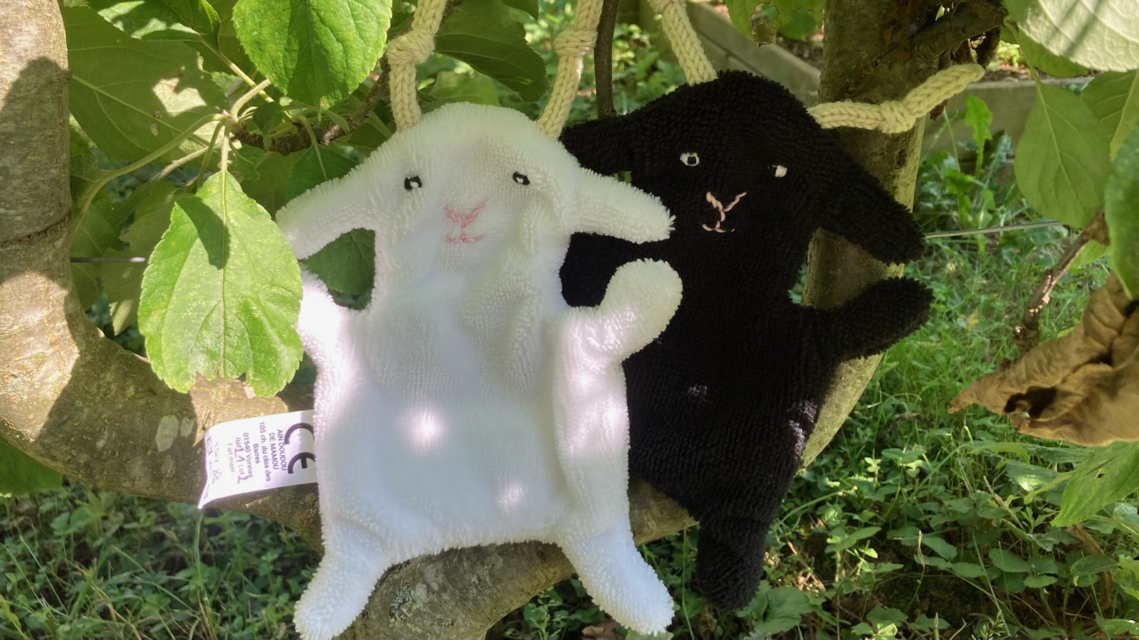 Ain-doudou-de-Mamou-doudou-bébé-3