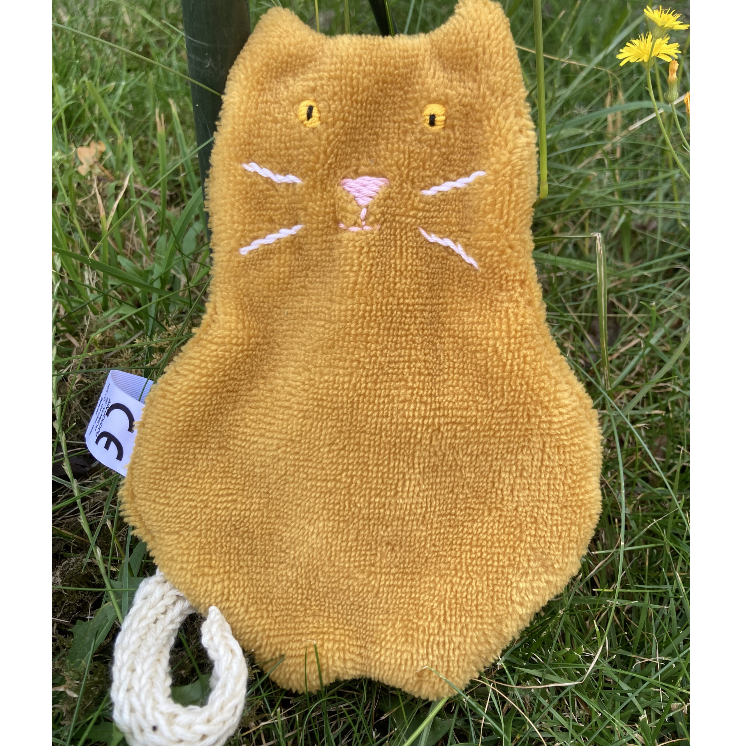 Cacahuète, le doudou chat roux