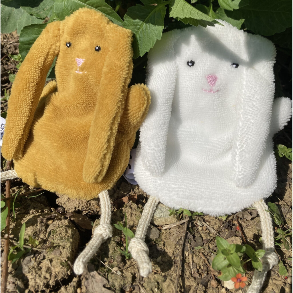 carotte-ain-doudou-de-mamou-5carré