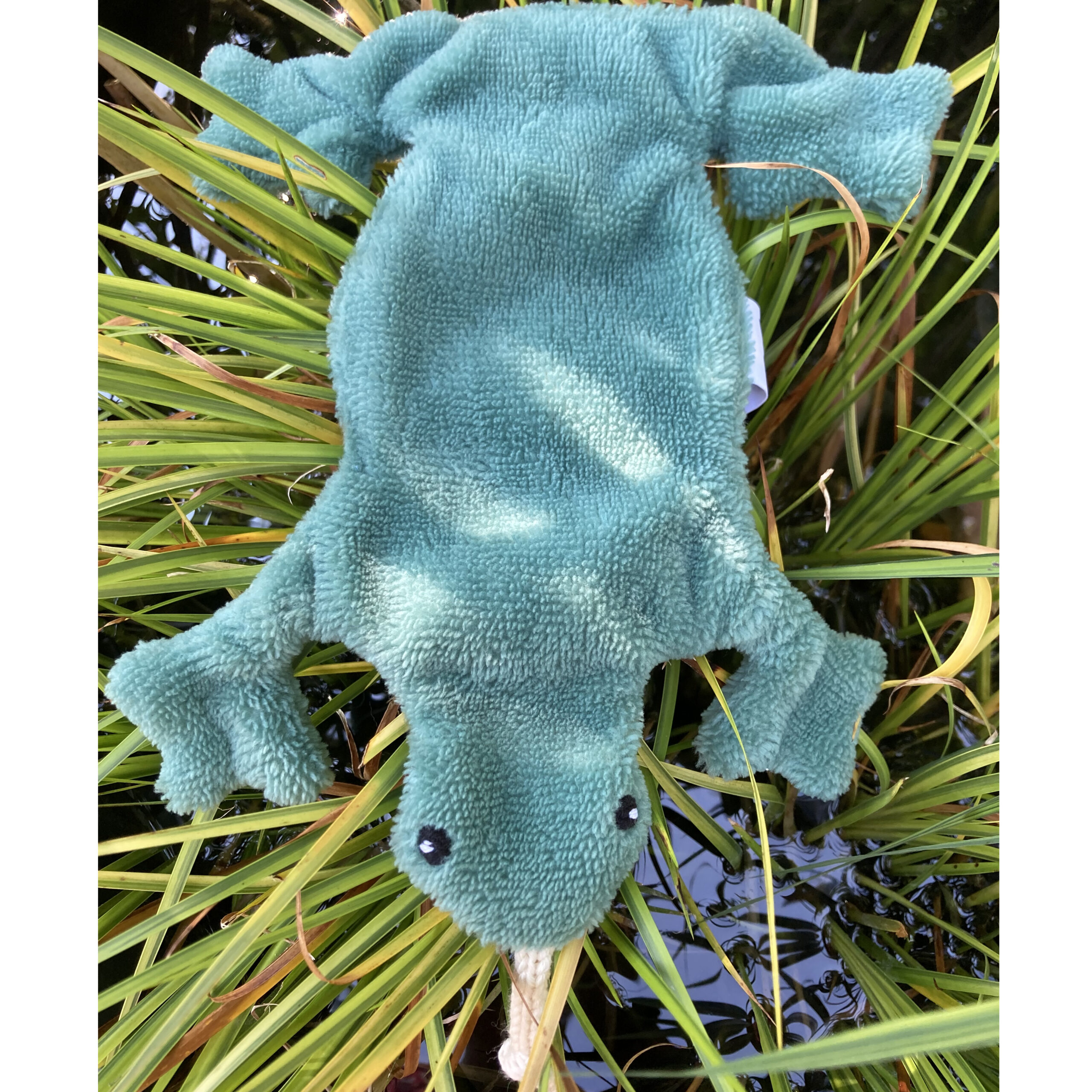 Dédé, le doudou grenouille