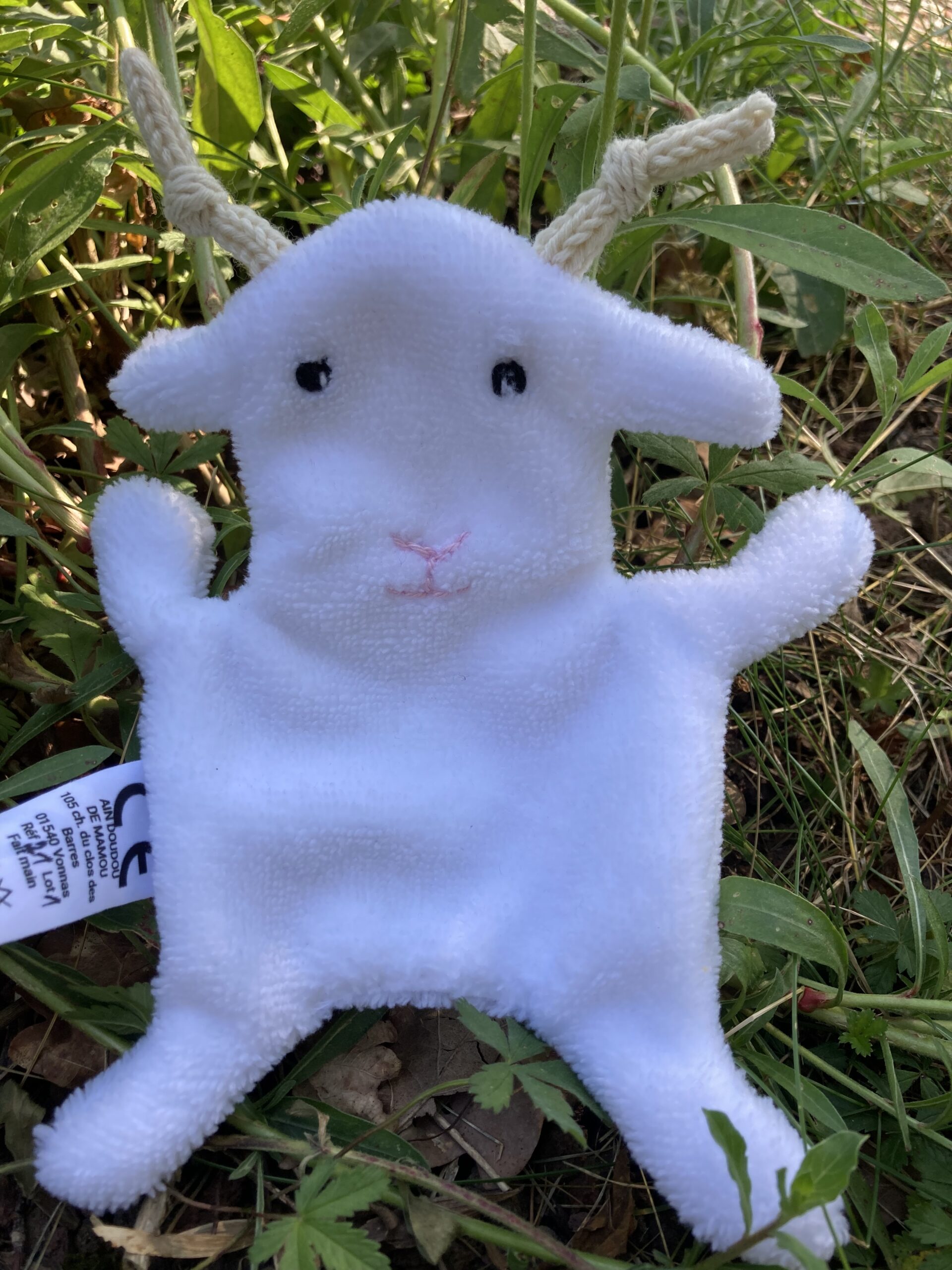 Lire la suite à propos de l’article Flocon, le doudou mouton