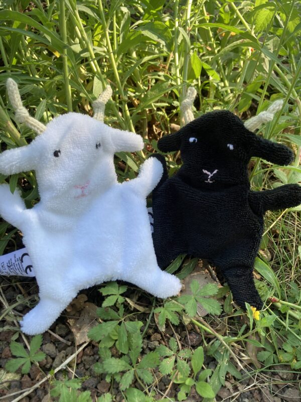 flocon-et-charbon-ain-doudou-de-mamou-1